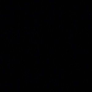 Meet your Posher, Jayden